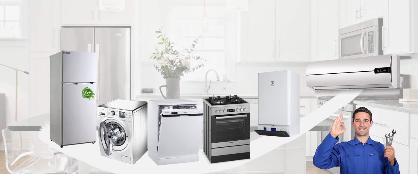Kangal Sigma Servisi